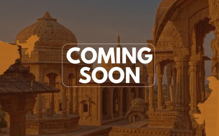 Stock Market Analysis and Trade Ideas