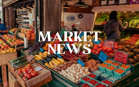 MarketNews