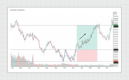 Exploring Double Bottom and Double Top Chart Patterns